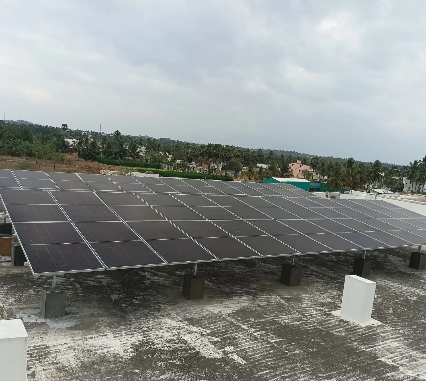 where to buy solar panels locally