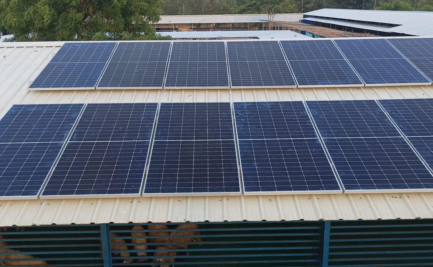 solar power for hospitals in Tamil Nadu